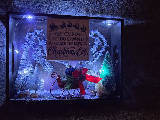 May you never be too grown up to search the skies on Christmas Eve